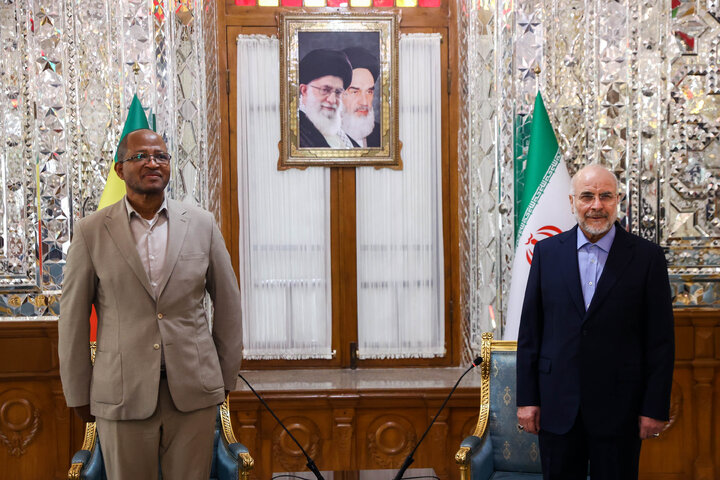 دیدار و کنفرانس خبری مشترک رؤسای مجالس ایران و اتیوپی