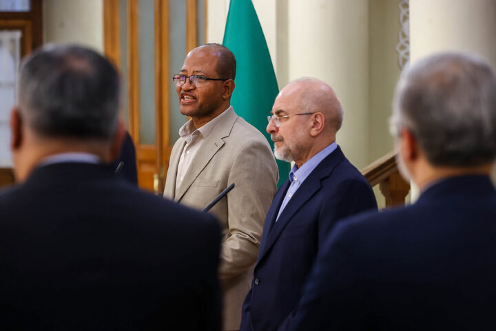 دیدار و کنفرانس خبری مشترک رؤسای مجالس ایران و اتیوپی