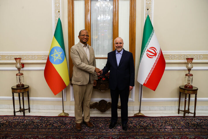 دیدار و کنفرانس خبری مشترک رؤسای مجالس ایران و اتیوپی