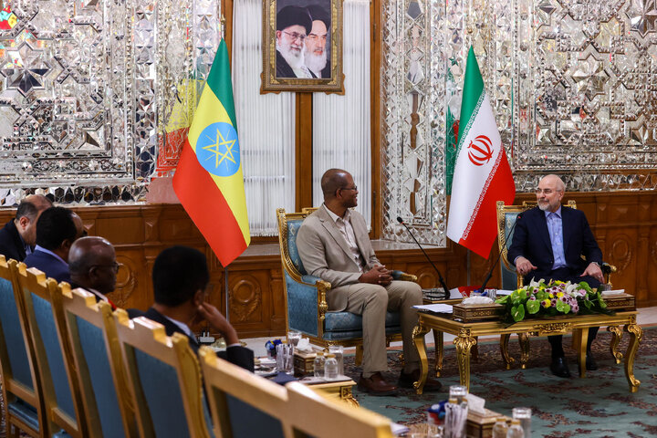 دیدار و کنفرانس خبری مشترک رؤسای مجالس ایران و اتیوپی