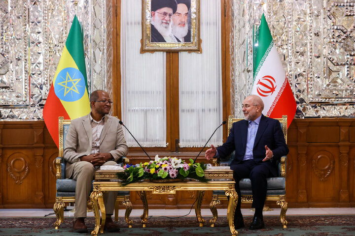 تأکید رؤسای مجالس ایران و اتیوپی بر توسعه روابط تجاری از مسیر بریکس