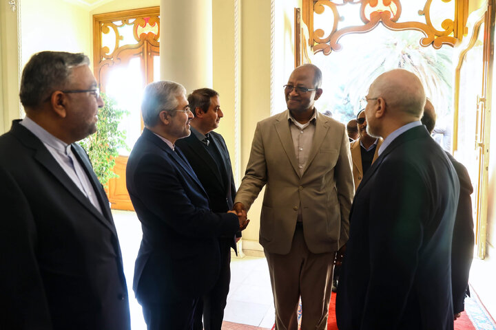 دیدار و کنفرانس خبری مشترک رؤسای مجالس ایران و اتیوپی