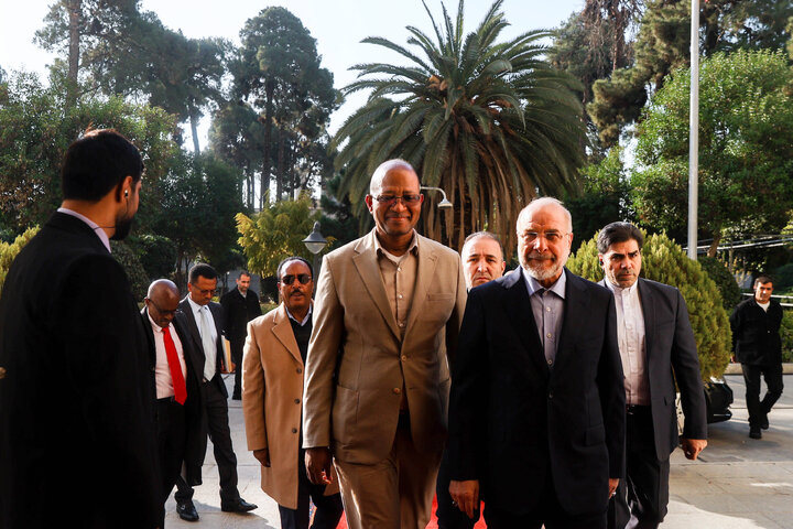 دیدار و کنفرانس خبری مشترک رؤسای مجالس ایران و اتیوپی