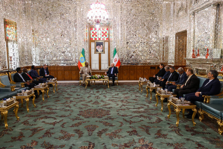 دیدار و کنفرانس خبری مشترک رؤسای مجالس ایران و اتیوپی