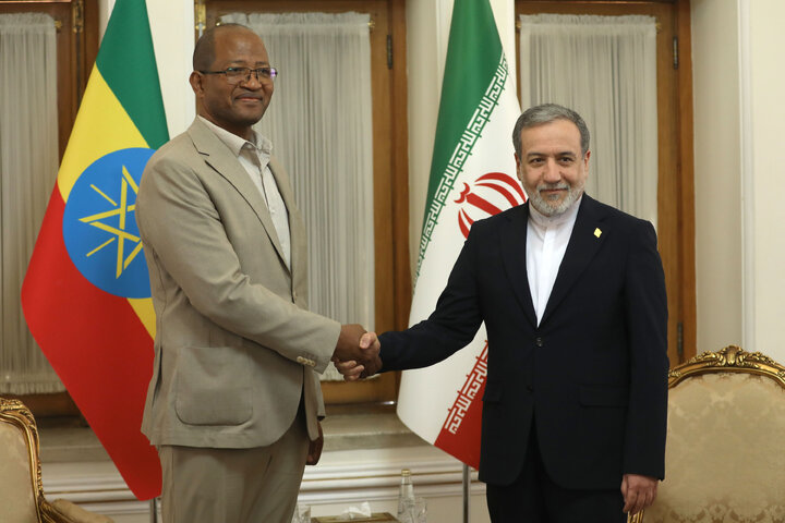 دیدار رئیس مجلس اتیوپی با وزیر امور خارجه