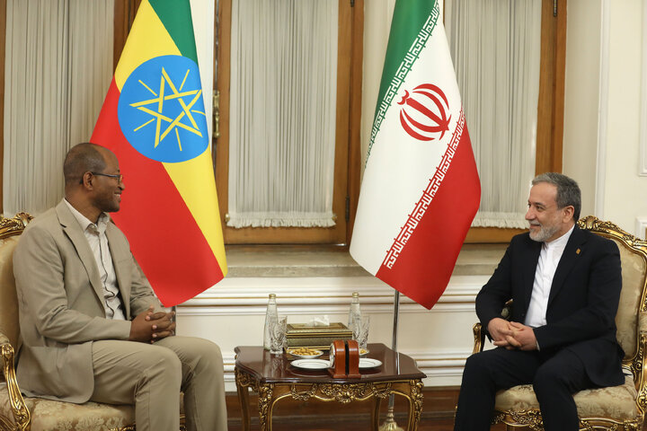 دیدار رئیس مجلس اتیوپی با وزیر امور خارجه