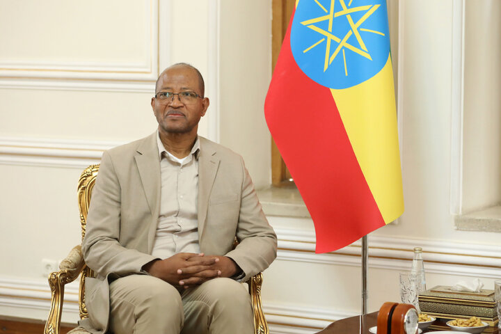 دیدار رئیس مجلس اتیوپی با وزیر امور خارجه