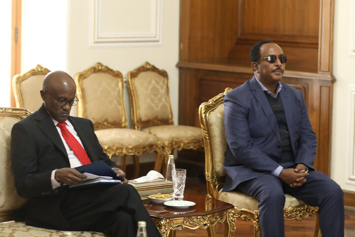 دیدار رئیس مجلس اتیوپی با وزیر امور خارجه