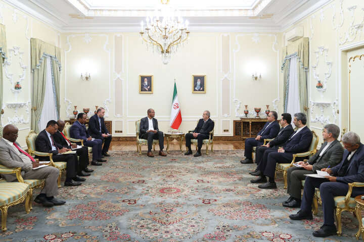 بریکس الگوی ارتباطی نوین برای تقویت همکاری‌ها