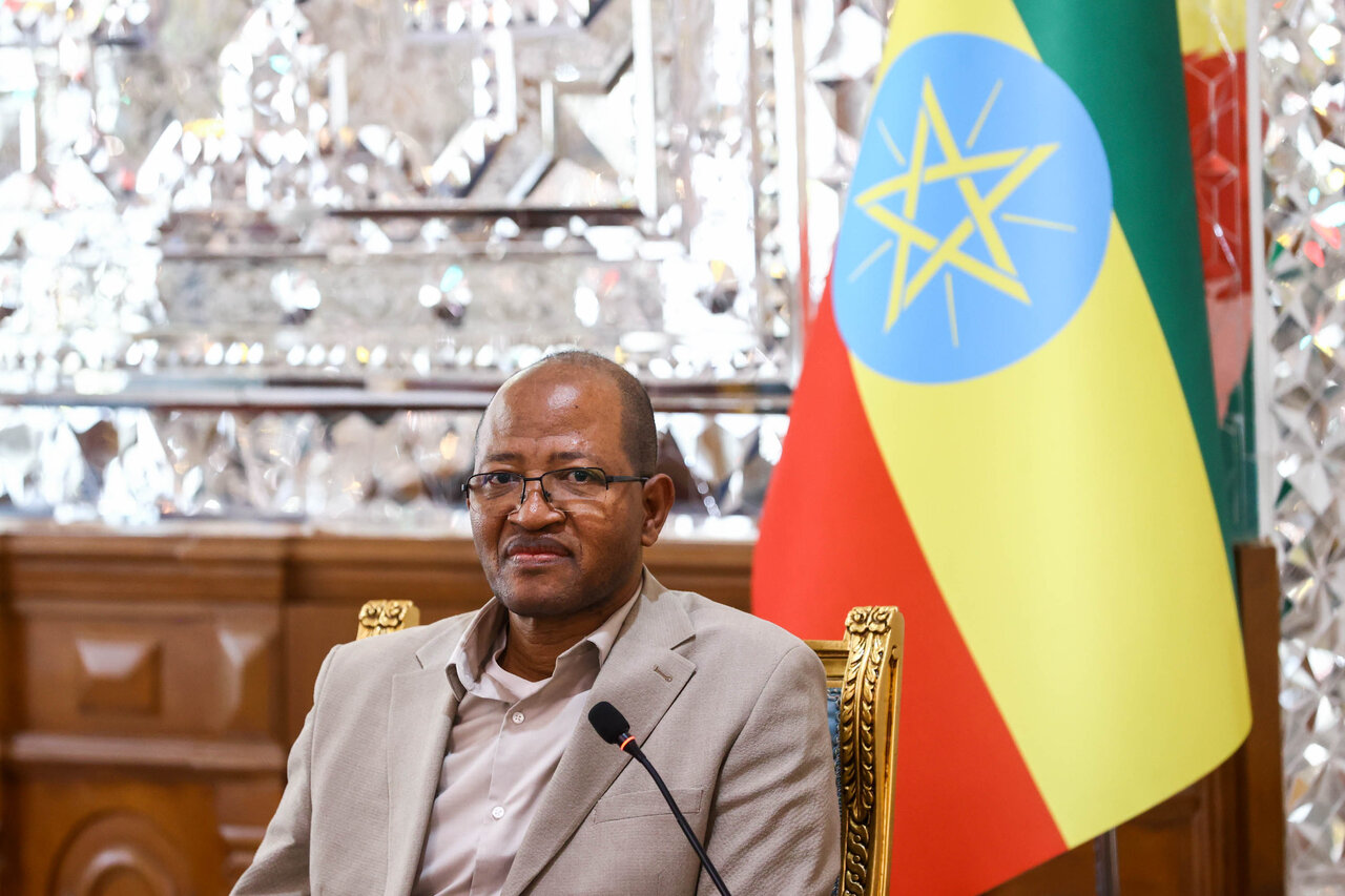 تأکید رؤسای مجالس ایران و اتیوپی بر توسعه روابط تجاری و استفاده از ظرفیت‌های بریکس