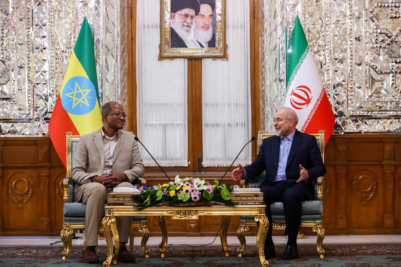 تأکید رؤسای مجالس ایران و اتیوپی بر توسعه روابط تجاری و استفاده از ظرفیت‌های بریکس
