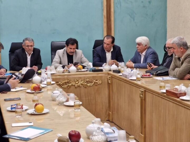 بدری: دستور تخصیص ۱۰۰ میلیارد تومان برای اجرای طرح هادی روستایی چهار شهرستان اخذ شد