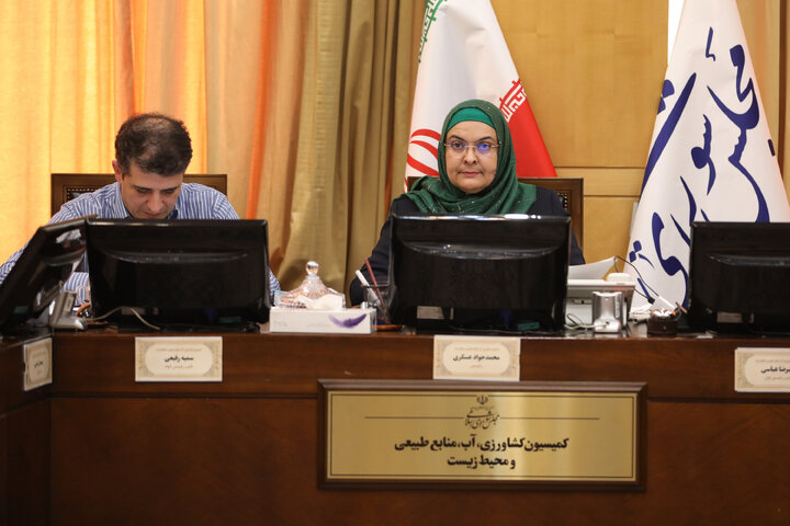 جلسه کمیته حفظ نباتات و ایمنی سلامتی دستگاههای اجرایی و نظارتی در خصوص اجرای برنامه هفتم