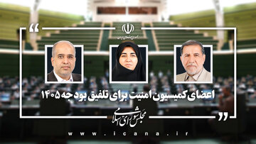 نمایندگان کمیسیون امنیت ملی مجلس در تلفیق بودجه ۱۴۰۵ تعیین شدند