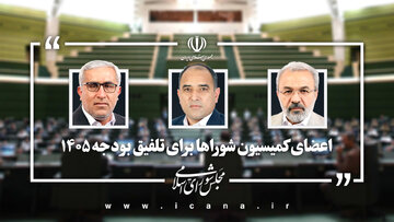 نمایندگان کمیسیون شوراهای مجلس در تلفیق بودجه ۱۴۰۵ تعیین شدند