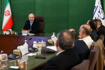 جلسه شورای هماهنگی مجلس شورای اسلامی