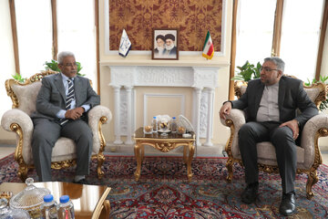 دیدار عمویی با سفیر موریتانی در تهران