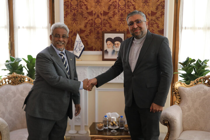 دیدار عمویی با سفیر موریتانی در تهران