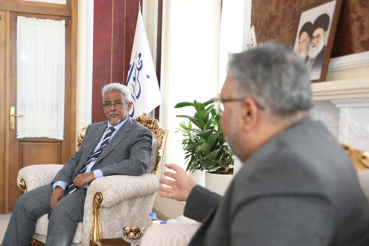 دیدار عمویی با سفیر موریتانی در تهران