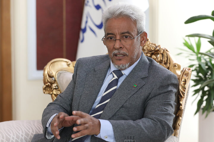 دیدار عمویی با سفیر موریتانی در تهران