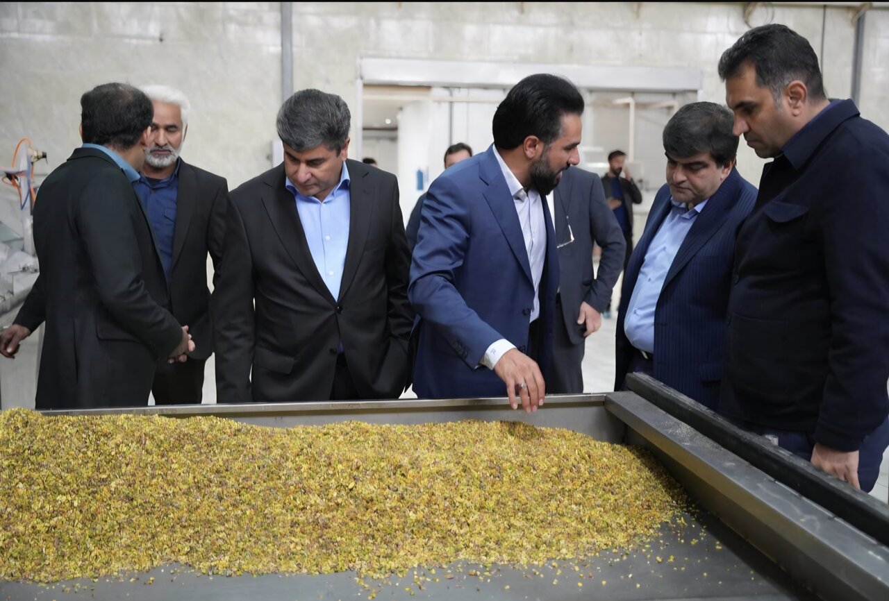 بازدید پوردهقان از واحدهای تولیدی اردکان