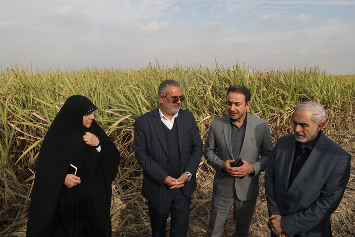 بازدید اعضای کمیسیون اجتماعی مجلس از کشت و صنعت نیشکر فارابی خوزستان