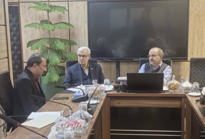 دیدار محسنی ثانی با معاون وزیر صمت/ فرآوری معادن و توسعه اکتشافات با فناوری نوین در دستورکار