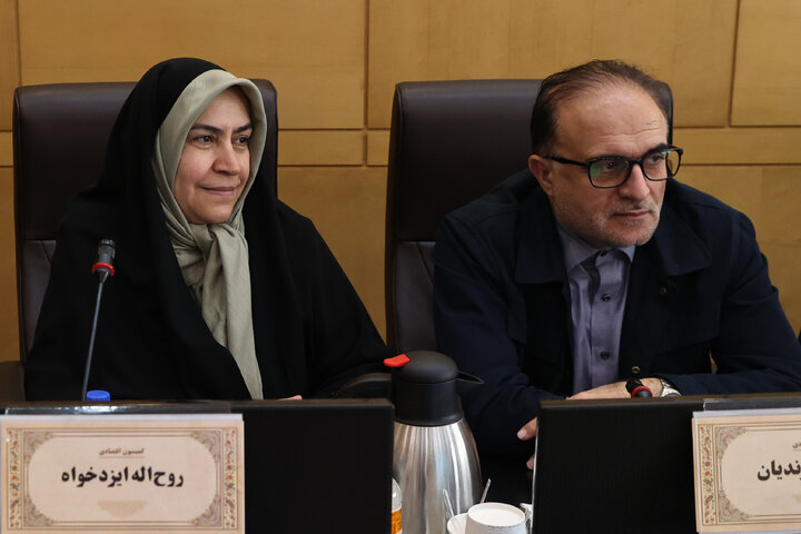 نشست 23 دی ماه کمیسیون اقتصادی