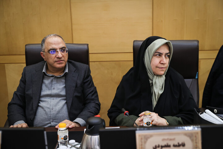 نشست 29 دی کمیسیون اقتصادی مجلس