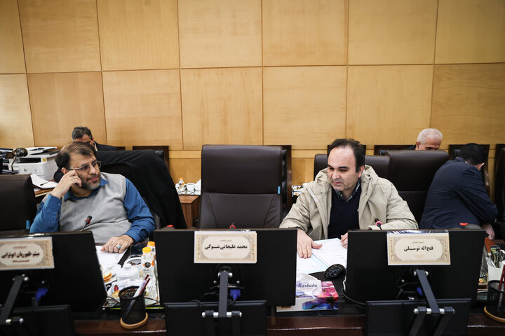 نشست 29 دی کمیسیون اقتصادی مجلس