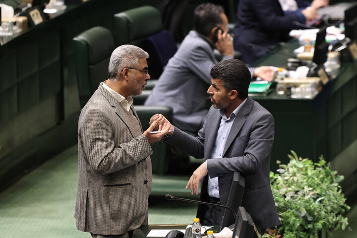 نشست علنی 30 دی ماه مجلس شورای اسلامی