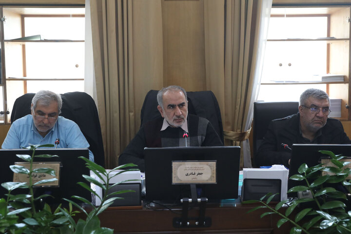 نشست 30 دی ماه اصل کمیسیون اصل 44 قانون اساسی