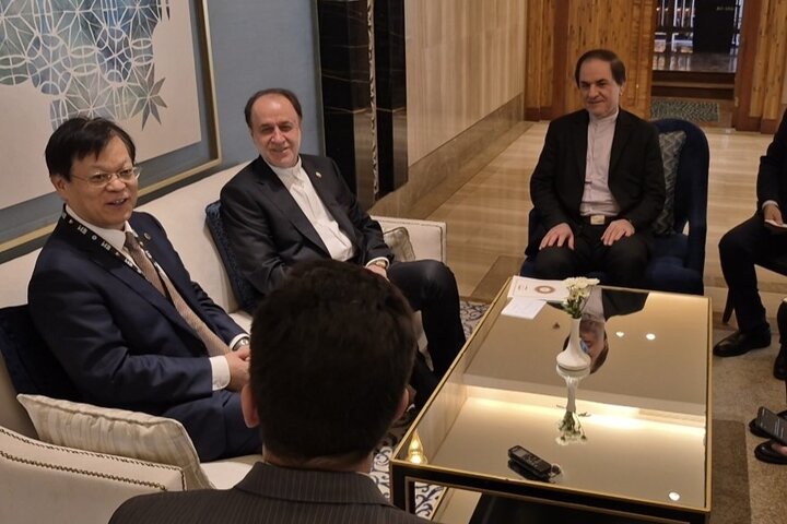 دیدار حمیدرضا حاجی بابایی نایب رئیس مجلس با یانگوان ژو رئیس گروه پارلمانی چین