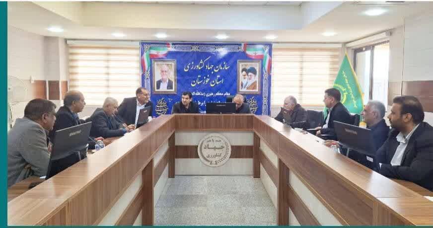 به همت مولوی؛ همکاری‌های علمی و فناورانه منطقه آزاد اروند وارد فاز اجرایی شد/ ورود جدی نماینده آبادان به حل مشکلات کشاورزی و دامپروری چوئبده