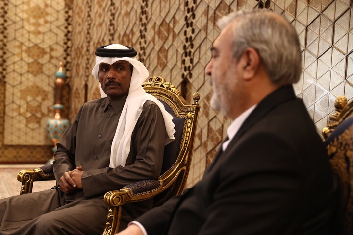 دیدار عزیزی رئیس کمیسیون امنیت ملی با سفیر قطر در ایران
