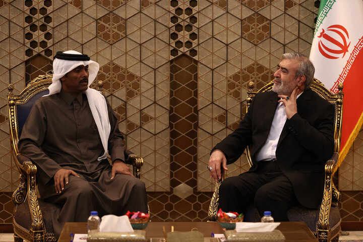 دیدار عزیزی رئیس کمیسیون امنیت ملی با سفیر قطر در ایران