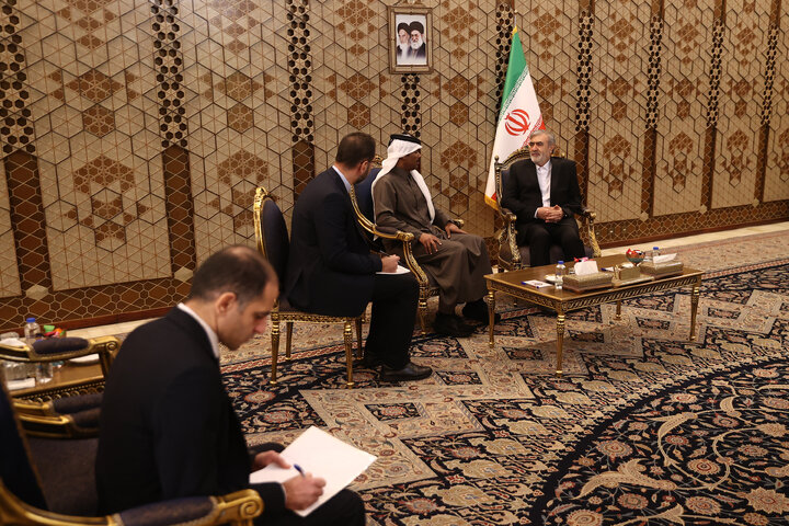 دیدار عزیزی رئیس کمیسیون امنیت ملی با سفیر قطر در ایران