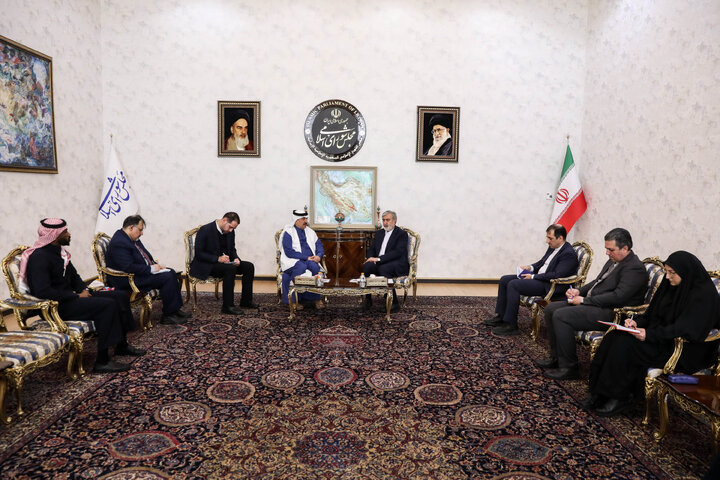 دیدار سفیر عربستان با رئیس کمیسیون امنیت ملی مجلس