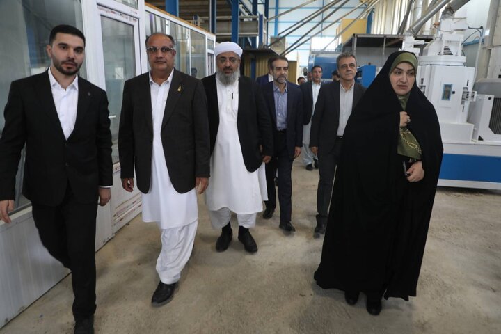 فرآوری و بسته‌بندی برنج باعث ایجاد ارزش افزوده در داخل کشور می شود