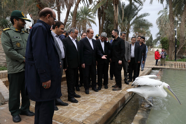 بازدید حمیدرضا حاجی بابایی نایب‌رئیس مجلس از ژئوپارک طبس