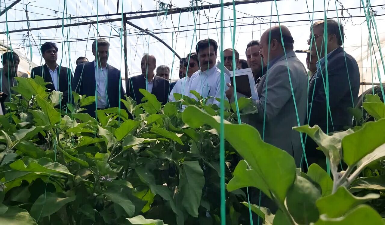 ۱۲۰۰ میلیارد تومان برای حوزه راه جنوب کرمان تامین شد