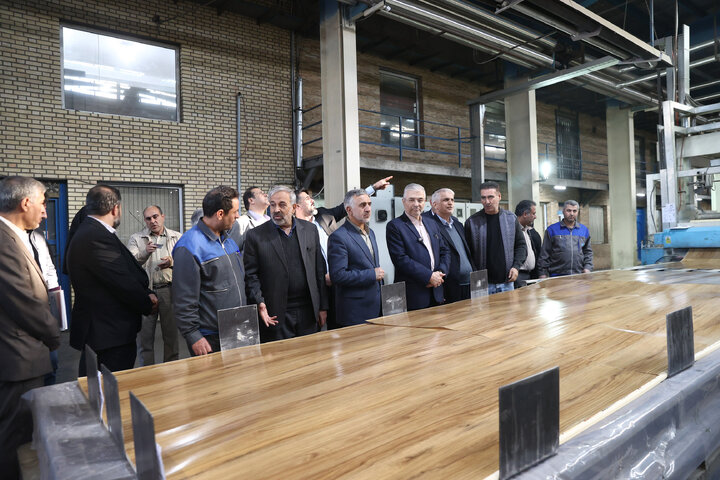 بازدید میدانی اعضای مجمع نمایندگان استان تهران از شهرک صنعتی شمس‌آباد