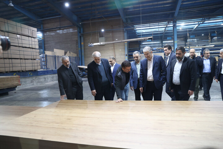 بازدید میدانی اعضای مجمع نمایندگان استان تهران از شهرک صنعتی شمس‌آباد