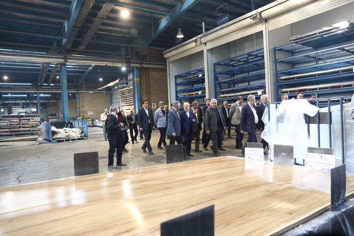 بازدید میدانی اعضای مجمع نمایندگان استان تهران از شهرک صنعتی شمس‌آباد