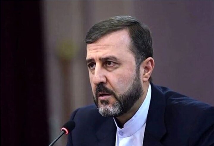 تأمین حداکثری منافع و امنیت ملی ایران چراغ راه هیأت مذاکره‌کننده بود