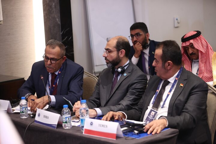حضور متکی و گلرو در کمیته دائمی صلح و امنیت بین المللی IPU