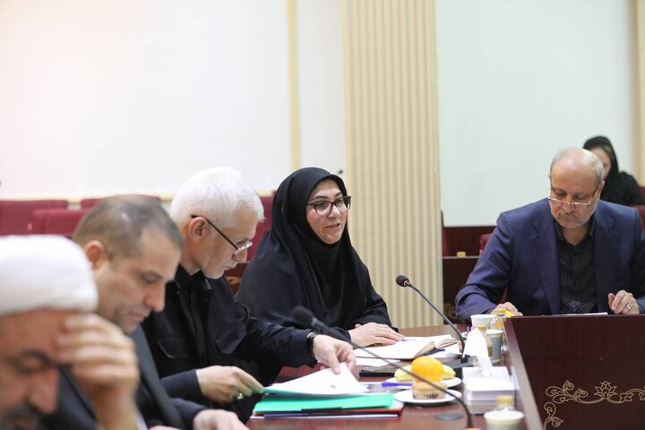 نشست نایب‌رئیس مجلس و اعضای کمیسیون فرهنگی با وزیر ورزش و جوانان