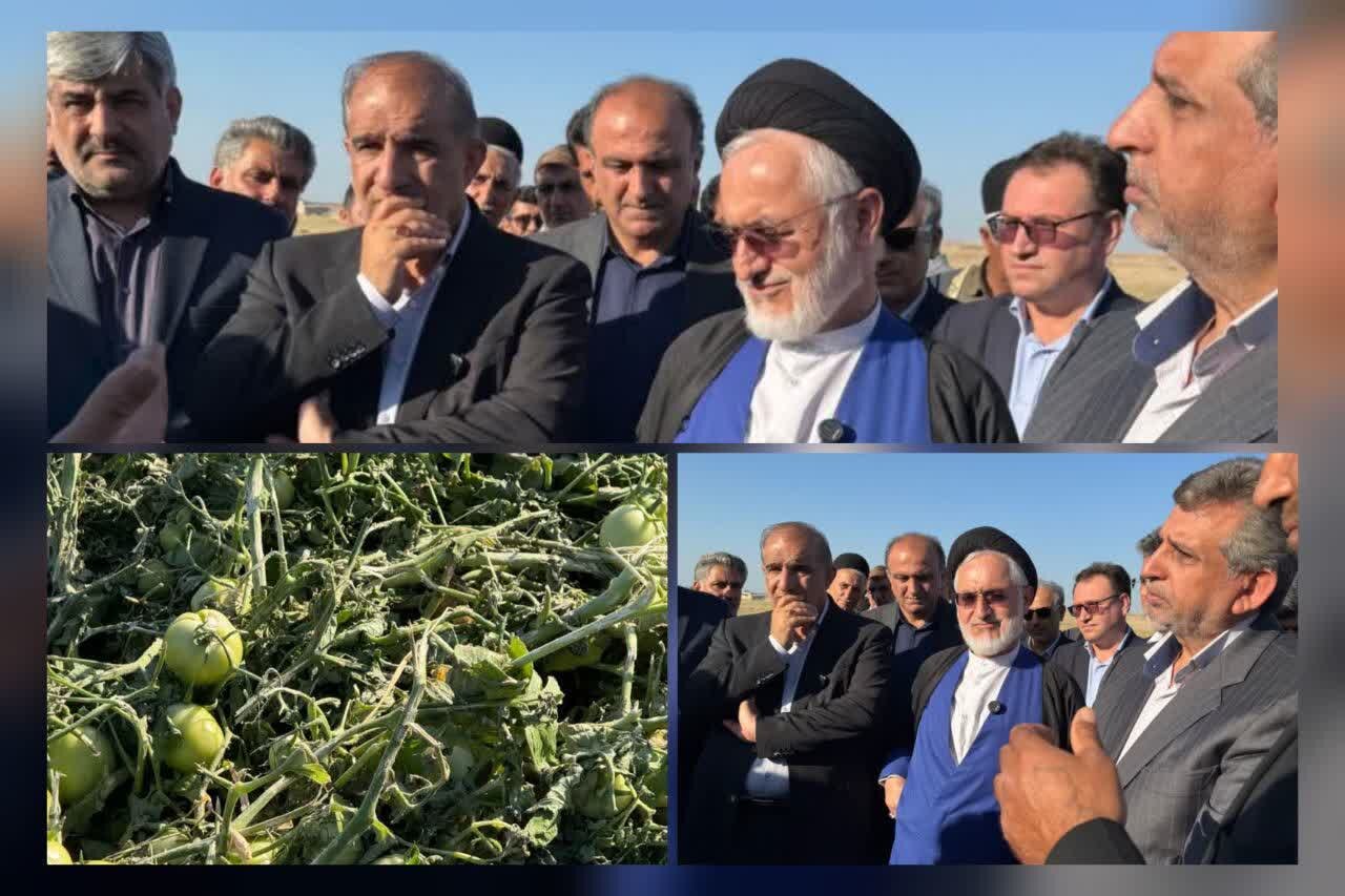 بازدید میدانی رئیس و اعضای کمیسیون کشاورزی مجلس از مزارع تگرگ‌زده شوشتر و گتوند/ حضور در میدان کمتر از ۱۲ ساعت پس از وقوع خسارت