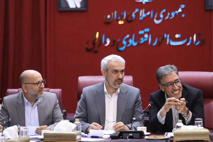 نشست کمیسیون صنایع ومعادن مجلس با وزیر اقتصاد و امور دارایی