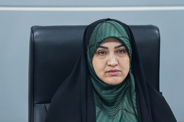 مجلس بر اجرای کامل مفاد تفاهم نظارت مستمر خواهد داشت